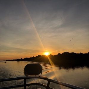 Meet your Posher, Riley